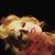 :iconneontrip: