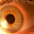 :iconneonvulture: