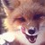 :iconneonzebradance: