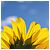 :iconneoserenity333: