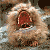 :iconneoshadow-ex: