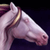:iconneostablestudio: