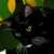 :iconneosubfoxx: