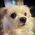 :iconnephalim0013: