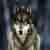 :iconnephilim12354: