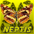 :iconneptis: