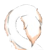:iconneptuneclear: