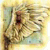 :iconneptunerain: