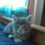 :iconnerd-507: