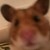 :iconnerdmonkey: