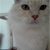 :iconnerdtank: