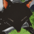 :iconnero-volpi: