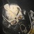 :iconnerothetheron: