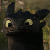 :iconnerradia: