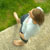 :iconnerruka: