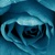 :iconnerull6: