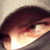 :iconnes-bf: