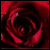 :iconnesarcy:
