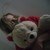 :iconneska-chan:
