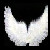 :iconnessa-from-valimar: