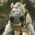 :iconnessaman13: