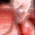 :iconnesshin: