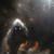 :iconnessys:
