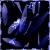 :iconnesuferit: