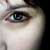 :iconnetak: