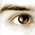 :iconnetfish: