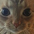 :iconnetherboy2323: