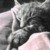 :iconnetherwings: