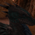:iconnethttrex:
