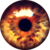 :iconnetickque: