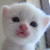 :iconneticule: