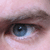 :iconNetmunta: