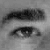 :iconnetpirate:
