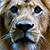 :iconnety-green:
