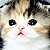 :iconneuehaasgrotesk: