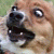 :iconneurogical-hamster: