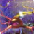 :iconneuronkiller: