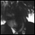 :iconneuroosi: