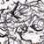 :iconneurotictapirs:
