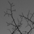 :iconnev-verity: