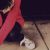 :iconnevanever: