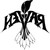 :iconnevarware: