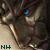 :iconnevenhaden: