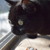 :iconnever-late: