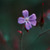 :iconnever-shout-never-14:
