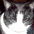 :iconnever-with-you: